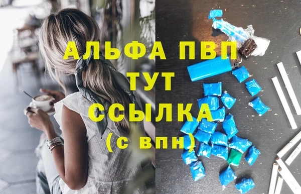 СК Арсеньев