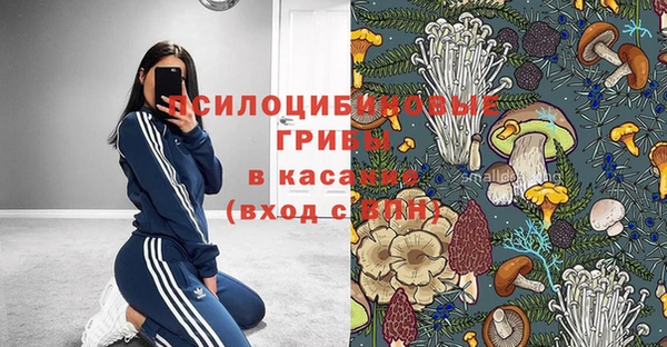 СК Арсеньев