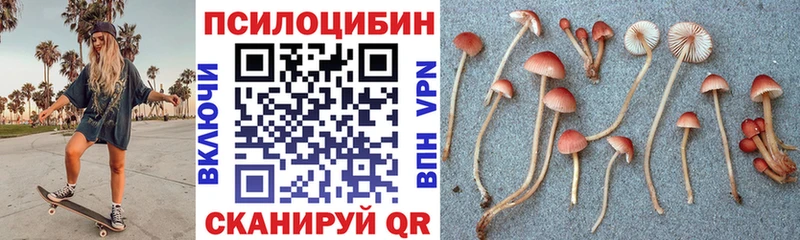 Псилоцибиновые грибы Magic Shrooms  Нея 